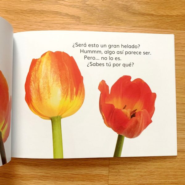Las fores de mi jardín - Image 3