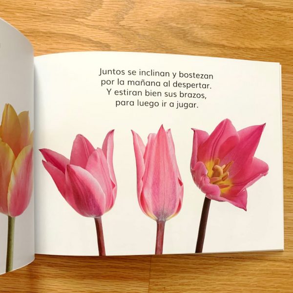 Las fores de mi jardín - Image 4