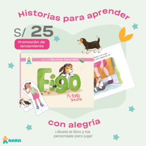 flyers figo-02