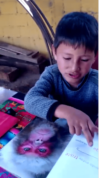 thumbnail_Captura de pantalla 2021-03-22 a las 8.52.17 a.m.-min